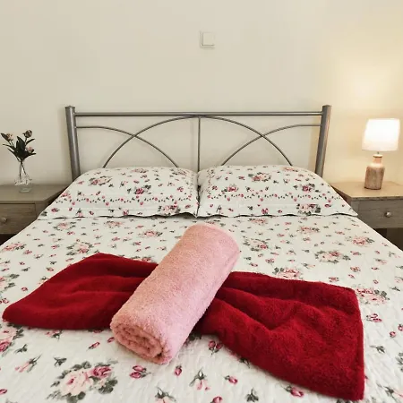 Sun Flower By Travelpro Services Halkidiki Nea Fokea
